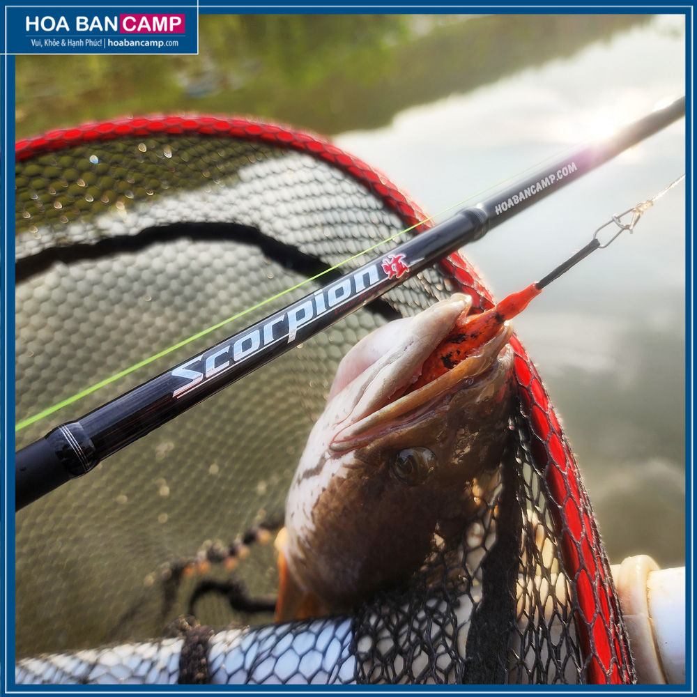 Dây Dù Obsession Teaser Venom 8x | 100m