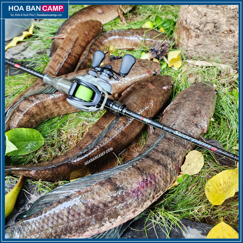 Dây Dù Obsession Teaser Venom 8x | 100m