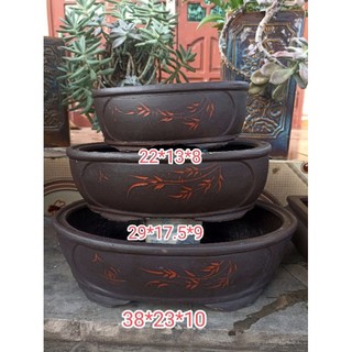 Bộ 3 chậu ovan vẽ lá liễu