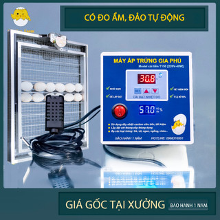 Combo máy ấp trứng gia phú tự động có đo ẩm kèm khay đảo 54 trứng nhôm cao cấp
