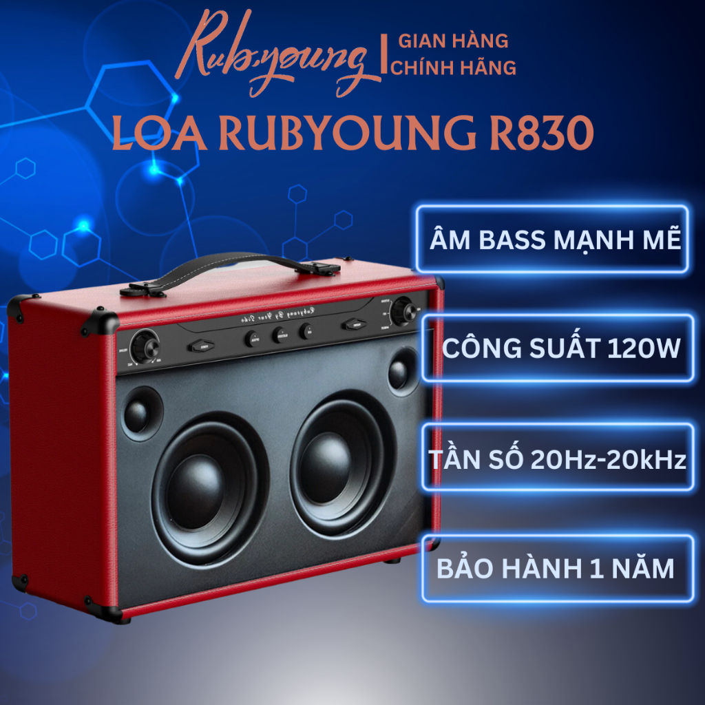 Loa Rubyoung R830| Loa Rubyoung cao cấp Công Suất 120W, Tần số rộng từ 20Hz đến 20kHz - Chính hãng, Bảo hành 12th- OBIBI