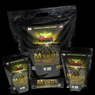 mykos, nấm rễ trộn nền, kích rễ