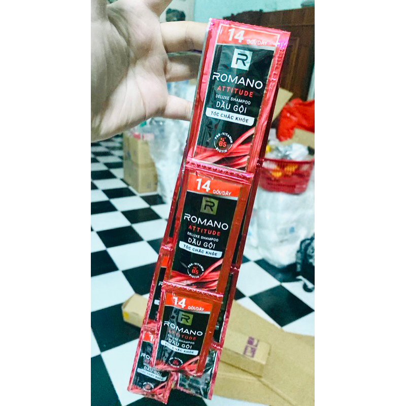 Dây gội nam Romano