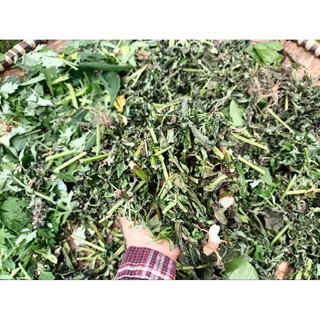 Trà thảo mộc tự nhiên
