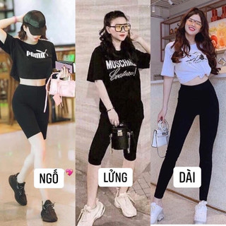 Quần Legging Rainbow Đủ Cỡ | 𝐭𝐡𝐞𝐥𝐞𝐭𝐲
