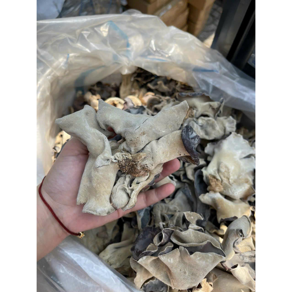 Mộc nhĩ sạch gốc - Nấm mèo sạch