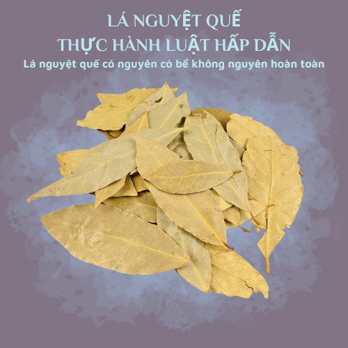 Lá nguyệt quế thực hành luật hấp dẫn 20g - 50G Lá nguyệt quế 20g - 50G