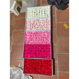 Hoa thuỷ tiên hộp 50bông