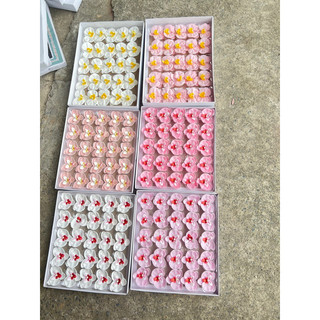 Hoa sáp lan hồ điệp 25 bông