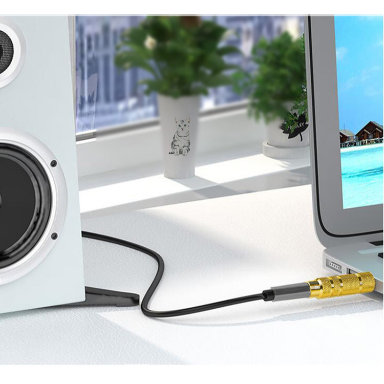 Đầu chuyển âm thanh Aux 3.5mm ra jack amply lớn 6.5mm - Jinghua S311