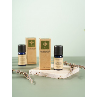 Tinh Dầu Oải Hương Spike Lavender Oil