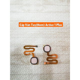 Cáp vân tay (home) Active 1 plus vsmart