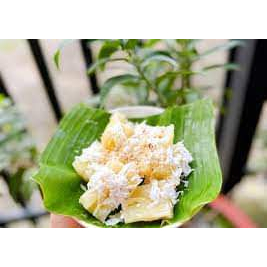Cây giống khoai mì- giống cây tươi đảm bảo trồng cho ra sai củ năng suất- củ bở thơm