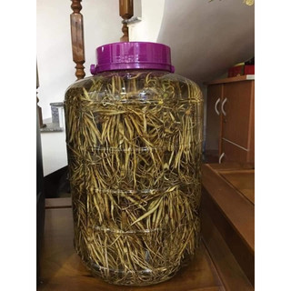 Củ Sâm Tanh Tách ( Củ Sâm Nổ)