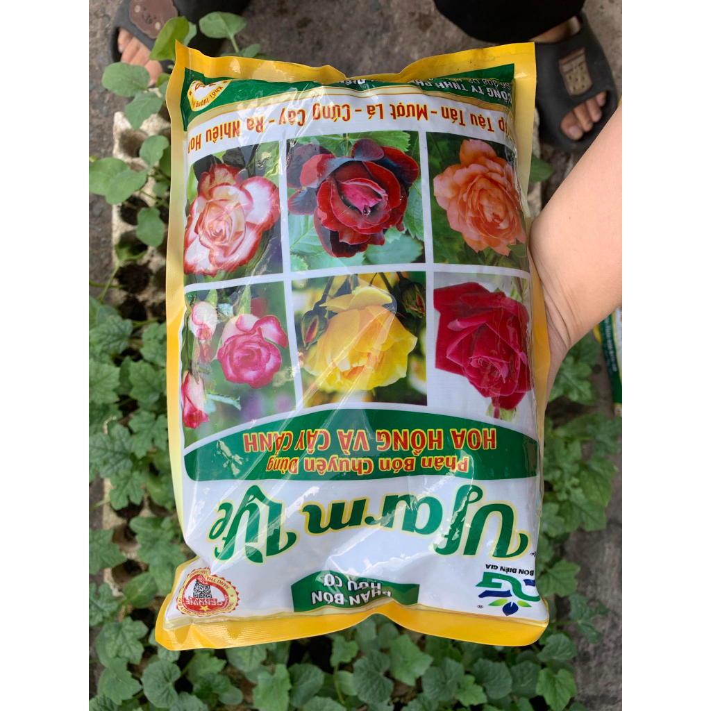 Phân bón kích thích ra hoa, bung hoa nở đều + trichoderma mượt lá, cứng cây dành cho Hoa Hồng, cây cảnh Ufarm Life