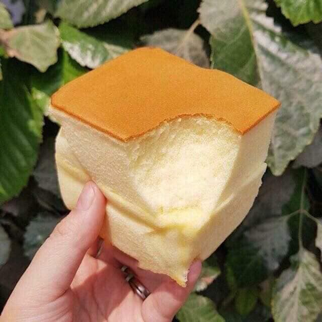 1 thùng 4kg bánh bông lan Shougong Mông To