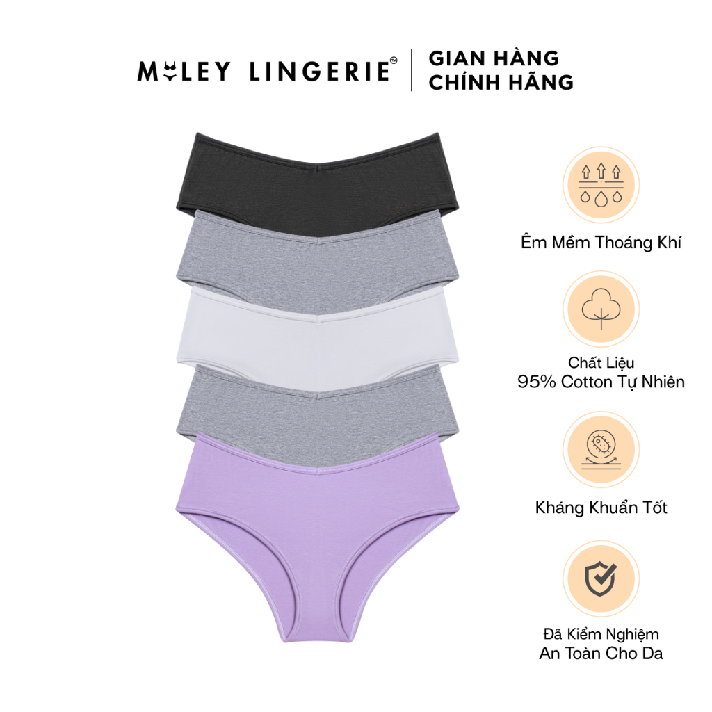 Combo 5 Quần Cotton Lưng Xéo Cao Cấp Being Me Miley Lingerie