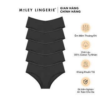 Combo 5 Quần Cotton Lưng Xéo Cao Cấp Charcoal Gray Being Me Miley Lingerie