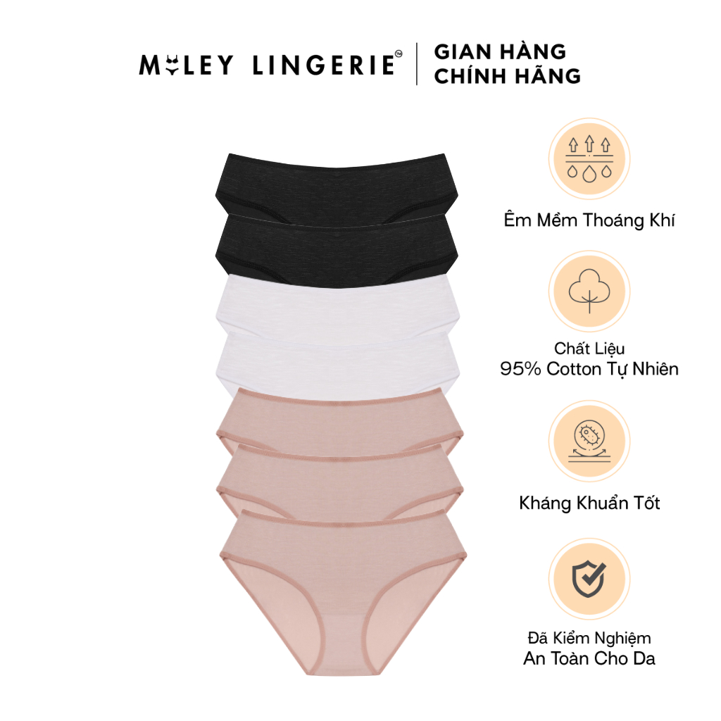 Set 7 Quần Lót Nữ Cotton Co Dãn 4 Chiều Flexi Miley Lingerie (Màu Ngẫu Nhiên)