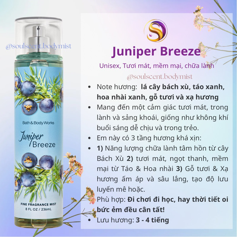 Body mist Juniper Breeze xịt thơm toàn thân Bath & Body Works (AUTH Mỹ) | Soul Scent
