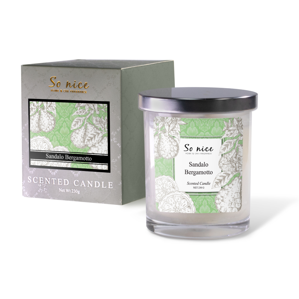 Nến thơm 1 bấc SO NICE 230g