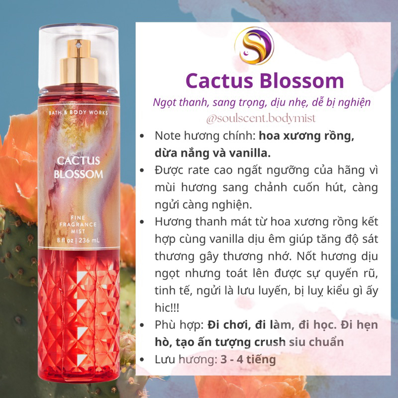 Body mist Cactus Blossom xịt thơm toàn thân Bath & Body Works (AUTH Mỹ) | Soul Scent