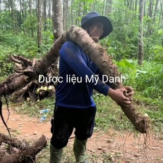 (1kg)Bạc Hà Núi (củ Ráy voi) an giang