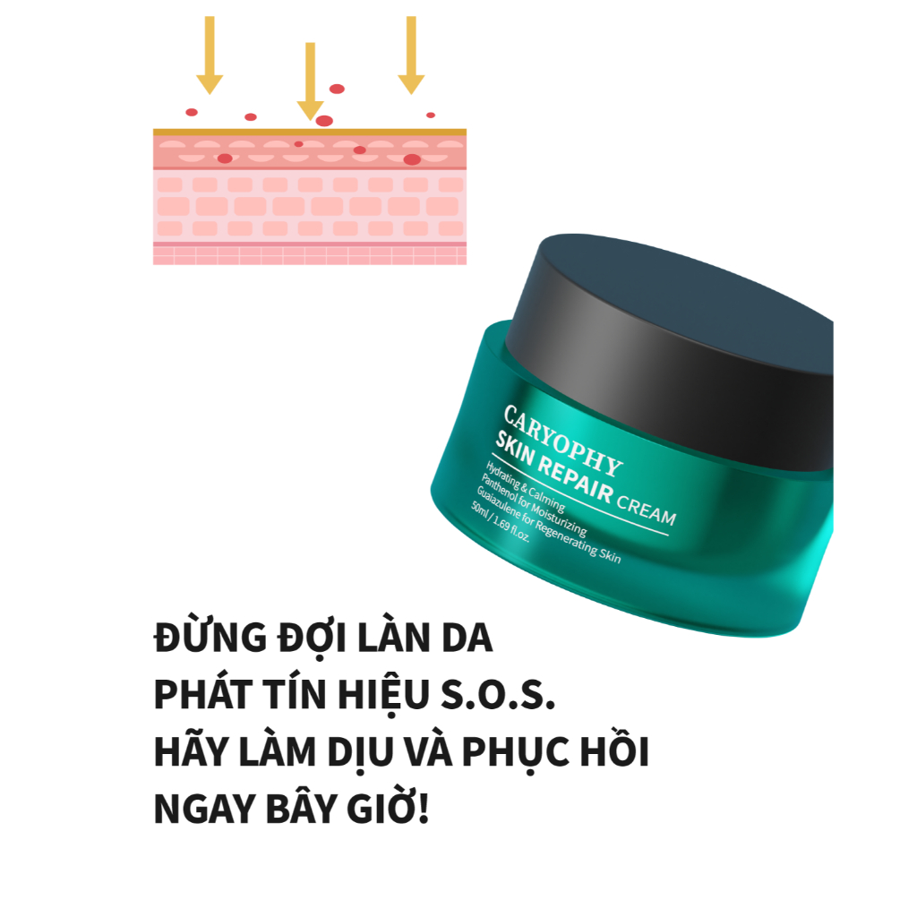 [Gift] Minisize kem dưỡng ẩm phục hồi da Caryophy Skin Repair 10ml