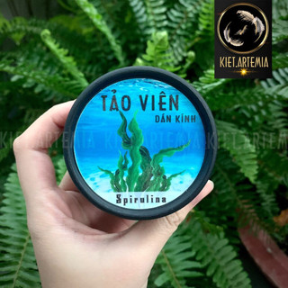 Tảo viên nhật dán kính hộp 100 viên