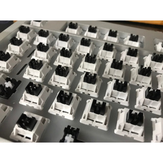 Switch Ws heavy Tactile đã lube 1 Pack 35 switch Tungcustom