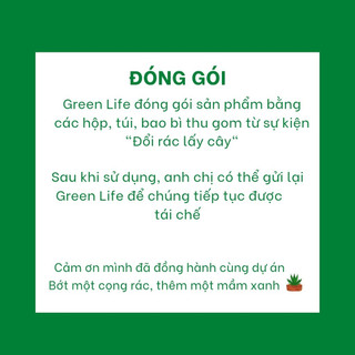 Tiểu Cảnh Trang Trí Chậu Cây