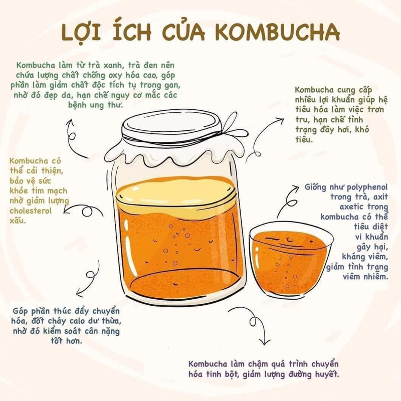 TRÀ KOMBUCHA TEAZEN HỘP 10 GÓI