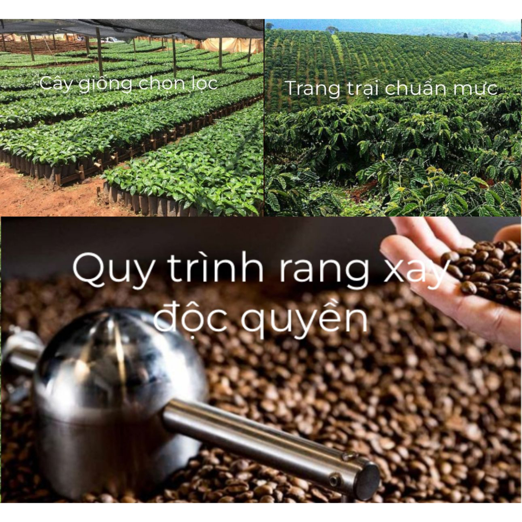 Cà Phê Truyền Thống