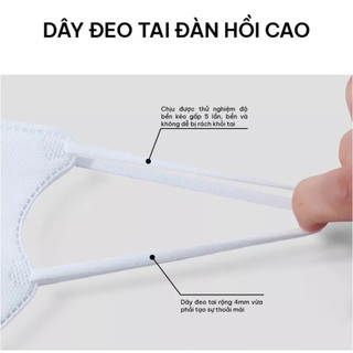 Khẩu trang 5d Thịnh Phát mask ( thùng 100 chiếc )