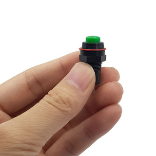 Nút nhấn tự giữ DS-213 10mm ( xanh, đỏ )