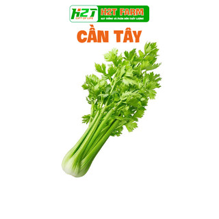 Hạt giống cần tây - h2t farm