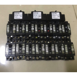Aptomat chống giật 20A,30A nhật 2pha