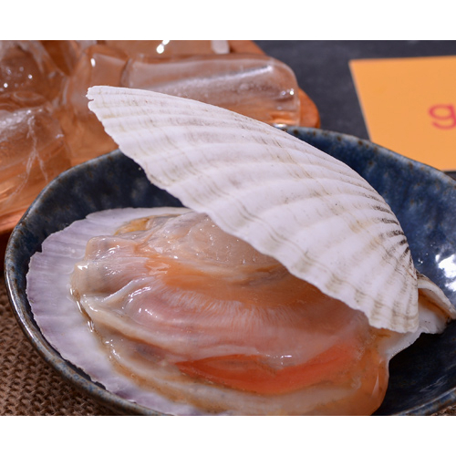 Sò điệp Nhật nguyên vỏ nướng siêu ngon 1kg