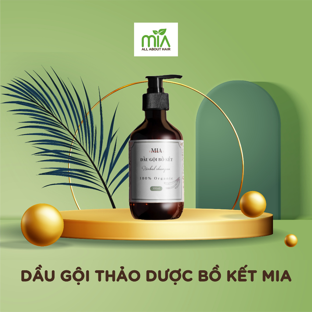 Dầu gội thảo dược ngừa gàu, dầu gội giảm rụng tóc bưởi bồ kết 100% Organic an toàn lành tính kích mọc tóc