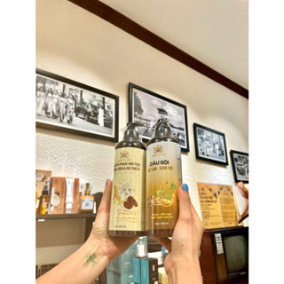 DẦU GỘI RỂ SÂM - LINH CHI DẦU XẢ HÀ THỦ Ô NHÀ CÔ BA