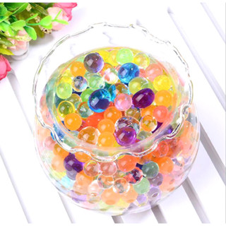 50g Hạt nở ngâm nước nhiều màu sắc, trồng cây và trang trí lọ hoa - BigLove