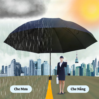 Ô Che Mưa Gấp Gọn Kagami Dù Đi Mưa 12 Nan Chắc Chắn Chống Tia UV Hiệu Quả