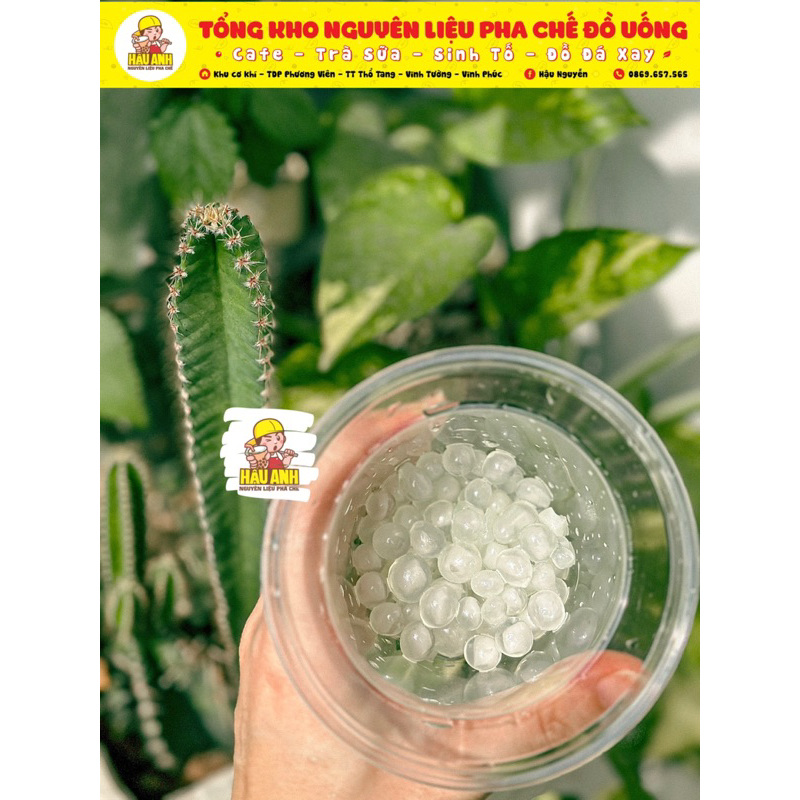 Trân châu dừa  - 1kg