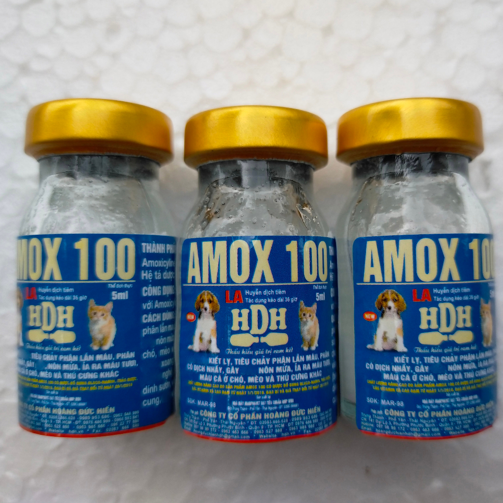 1 lọ 5ml A-MOX 100 Dùng cho cho chó, mèo và thú cung khác