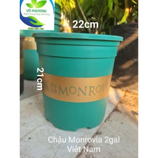 Chậu nhựa trồng cây Monrovia 2gal hàng Việt Nam kt miệng 22cmx cao 21cm