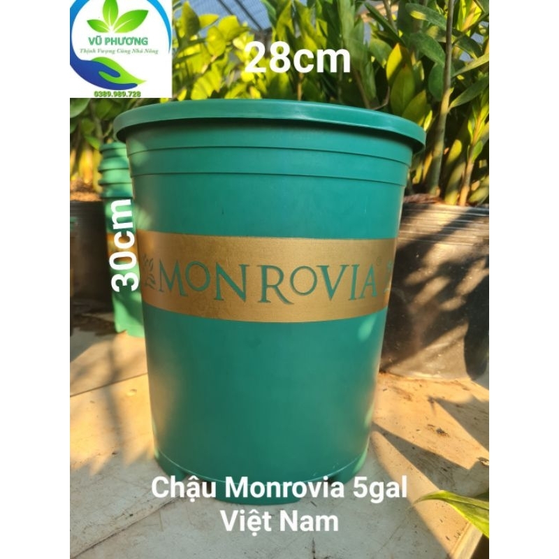 Chậu nhựa trồng cây Monrovia 5gl hàng Việt Nam kt miệng 28cmx cao 30cm