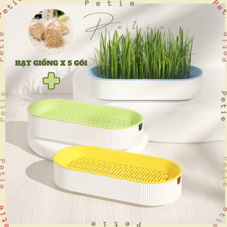 Bộ dụng cụ trồng cỏ mèo thuỷ canh khay trồng cỏ mèo tươi KIT trồng cỏ mèo