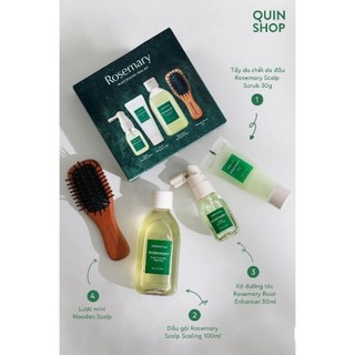 Bộ dầu gội aromatica rosemary scalp scaling trial kit