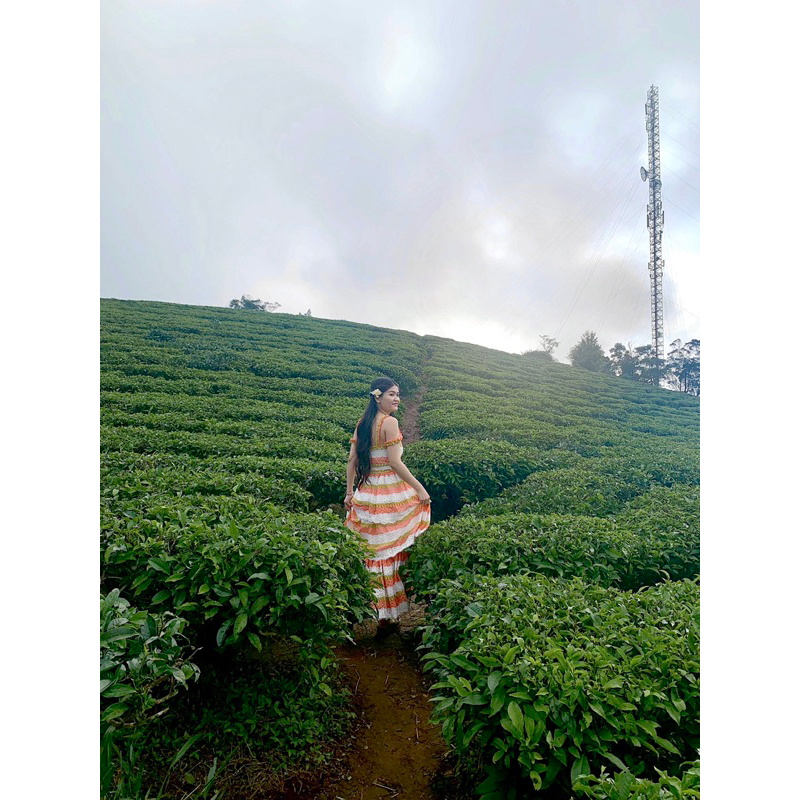 Đầm The Country Boutique