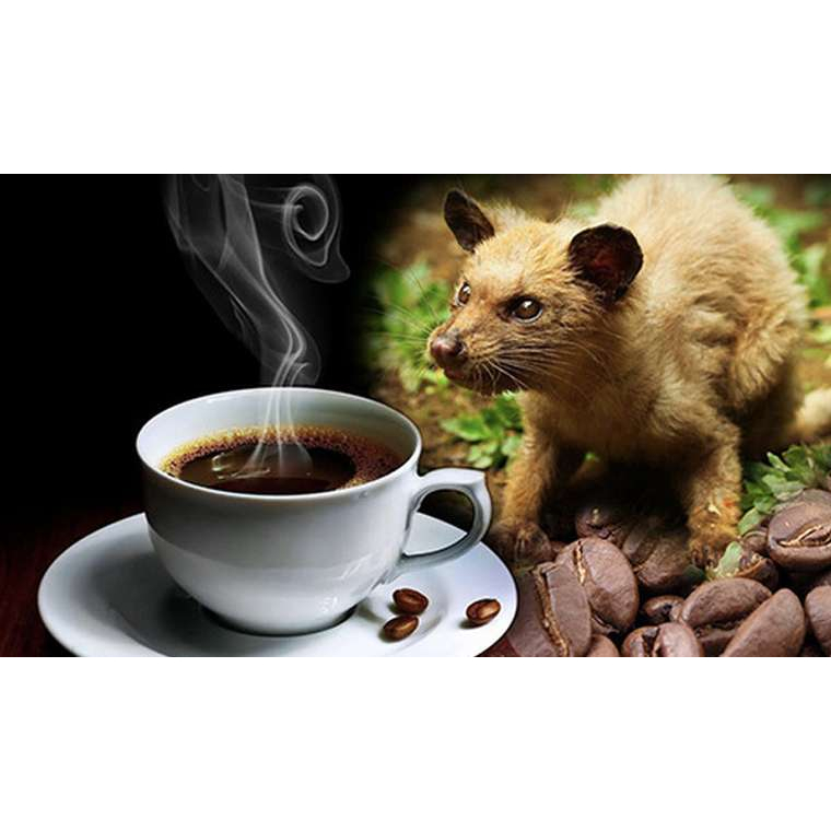 Cà phê bột pha phin - Paris coffee No.4 - Đắng dịu, thơm, béo, pha cà phê sữa ngon